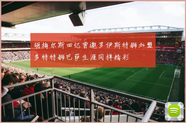 胡梅尔斯回忆曾邀罗伊斯特狮加盟多特特狮巴萨生涯同样精彩